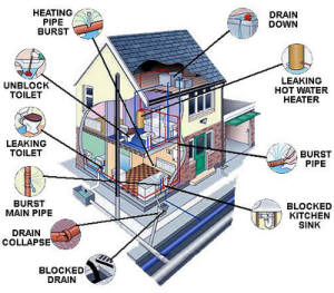 New Jersey Home Inspection Services Essex County 